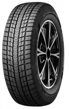 Шина Roadstone Winguard Ice Plus 205/55 R16 91T
